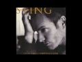 Sting- I´m So Happy That I Can´t Stop Crying