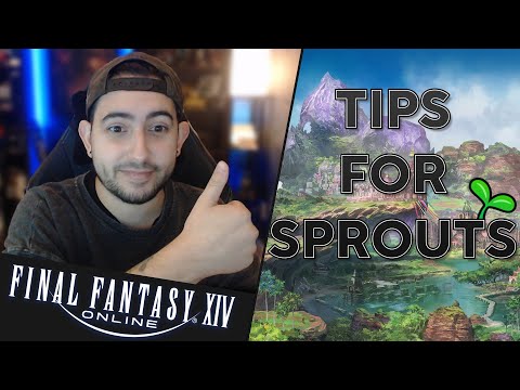 Quest types and good habits for Sprouts | FFXIV New Players Guide