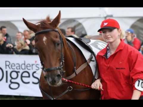 Favorité do 122.Velké Pardubické České Pojišťovny...