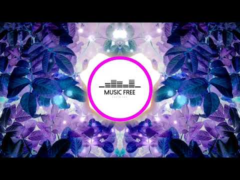 Celina Sharma, Stonebwoy, Ivorian Doll - Lights Down (DELO Remix)