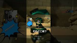 そんなとこから見える？(笑)