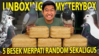 Download lagu UNBOXING MYSTERYBOX BURUNG MERPATI 5 BESEK SEKALIGUS! KITA TES MANA YANG PALING KENCENG TERBANGNYA! mp3 Download lagu UNBOXING MYSTERYBOX BURUNG MERPATI 5 BESEK SEKALIGUS! KITA TES MANA YANG PALING KENCENG TERBANGNYA! mp3