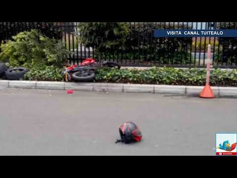 Sujetos roban banco y en la huida chocan contra un árbol