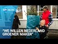 Kerstbomen krijgen tweede leven bij zorgcentrum in Zaandam