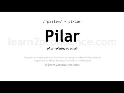 Pronunciation of Pilar | Definition of Pilar