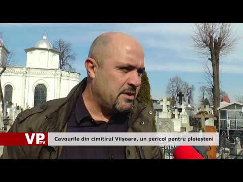 Cavourile din cimitirul Viișoara, un pericol pentru ploieșteni