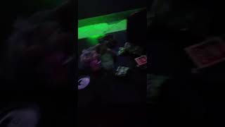 Download lagu Status WA karaoke LC cantik mp3