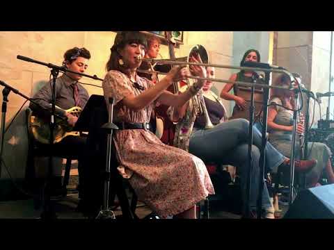 Shake 'Em Up Jazz Band - When You Wore a Tulip