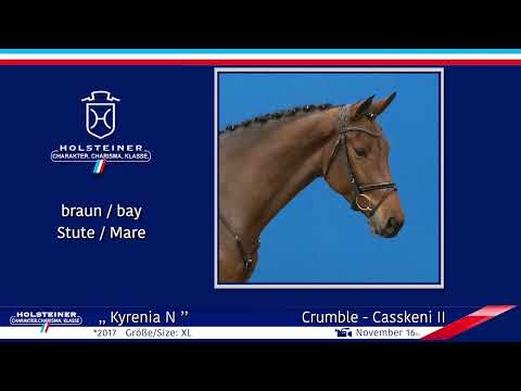 4. Holsteiner Winter-Chance 2022 | Nr. 07 v. Crumble - Casskeni II