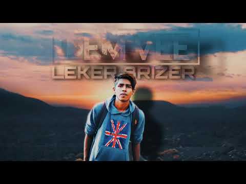 Dem Vee - Leker Brizer