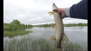 Ссылка