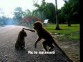 Never Dream Alone - Ashlee Simpson (Español Lyrics)