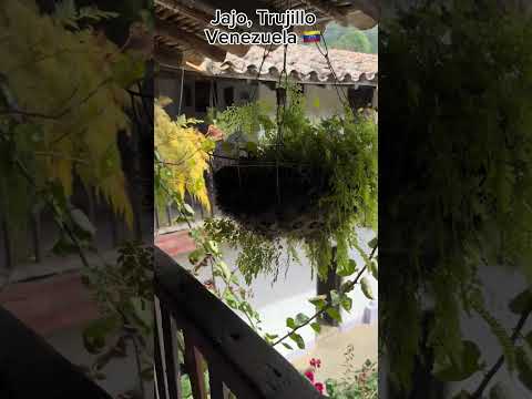 🇻🇪 History in JAJO, Trujillo, VENEZUELA #virtualtour #jajo #trujillo #venezuela