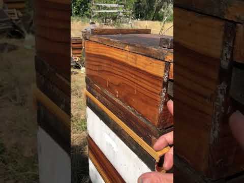 Intro to two-way by Eric McEwen