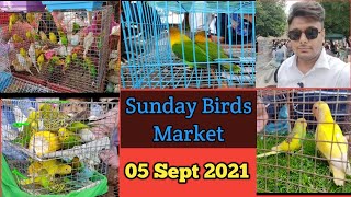 Sunday Market Ahmedabad Latest Video || અમદાવાદ રવીવાર બજાર || 05 September 2021