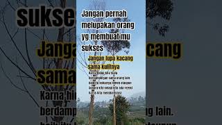 Download lagu jangan kacang lupa kulitnya #videoshortsviral#katahatimotivasi#motivasihidup#catatanmotivasi mp3