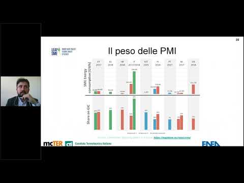 Diagnosi energetiche nelle PMI