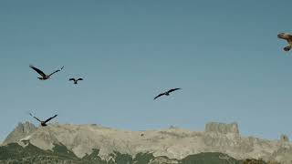 Unlocking the Mysteries of the Fourth Dimension