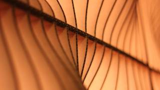 Parametric Design