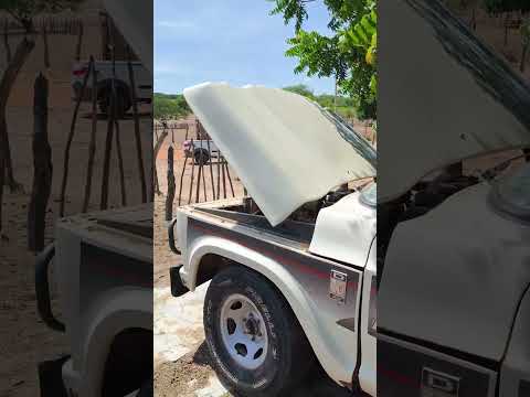 veja essa D10 1984 caminhonete Chevrolet disponível a venda em são José do Belmonte Pernambuco.