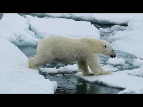 #GED: Klimatske promjene