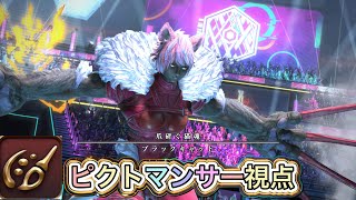 【FF14】アルカディア零式ライトヘビー級1層　【ピクトマンサー 】視点