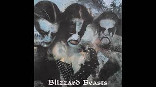 Blizzard Beasts Music Video