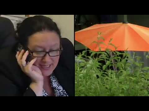 Channel 4 - The Hotel Series 2 Episode 4 (Guests Removed)