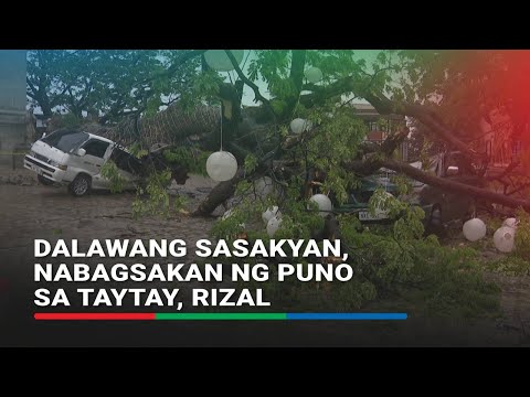 Dalawang sasakyan, nabagsakan ng puno sa Taytay, Rizal