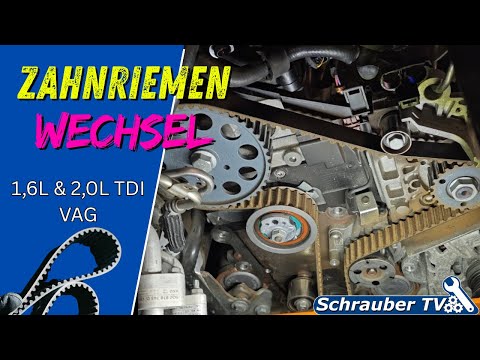 Timing belt in oil? 1.6TDI / 2.0TDI Audi / VW / Seat Skoda