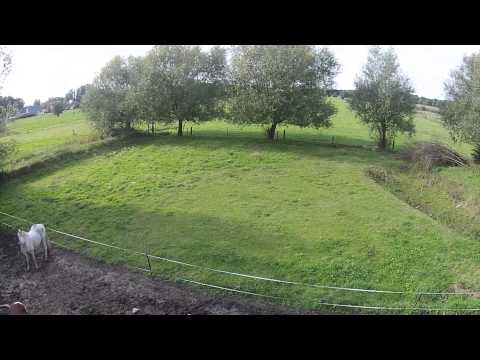 De Pinte, Boeregemstraat 17: uit de lucht bekeken