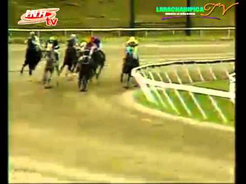 LA RINCONADA 11 CARRERA SABADO 29 DE NOVIEMBRE DEL 2014