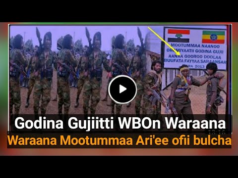 Oduu Ammee Godina Gujiitti WBOn Waraana mootummaa biyya keessaa Ari'ee jira jedhan