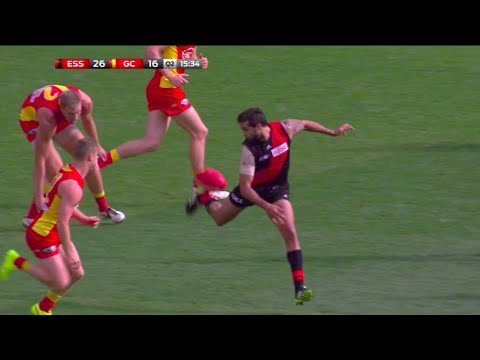 Essendon Highlights - Rd 22 2014 v Gold Coast