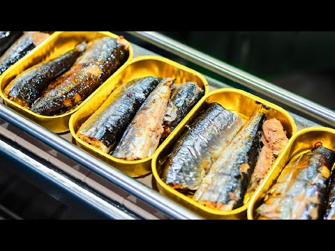 How It's Made : Sardines