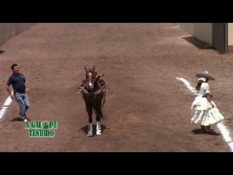 COMO EVITAR UN ACCIDENTE EN UNA PUNTA