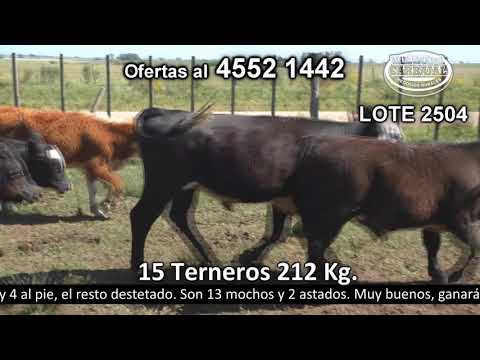 Lote 15 Terneros 6 AA c/  HE. 2 AA,  2 HE,  2 HE c/  NO,  1 RA,  1 HE c/  RA y 1 HE c/  NO. 212kg -  en Parada Suárez - R2 km 204.500