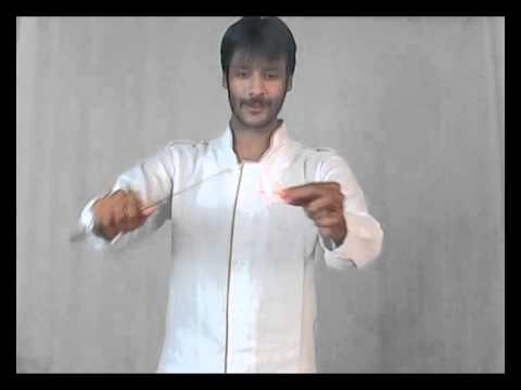 ATR (and rising) Rose by Sumit Chhajer