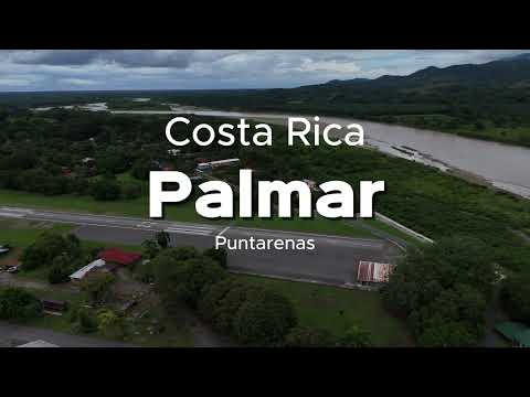 Palmar desde el Aire | Osa | Puntarenas | Costa Rica | 4k