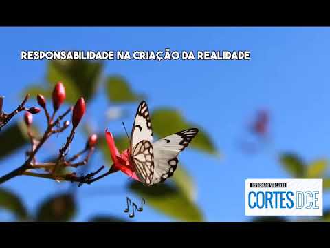 Cortes DcE #531 Responsabilidade na criação da realidade