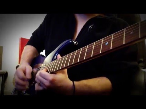 Laurent Huchard Guitar "Djul Custom" / DiMarzio Pickups TRANSITION