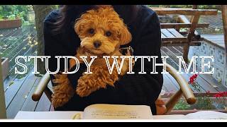 60 min｜STUDY WITH ME｜勉強ライブ🐬