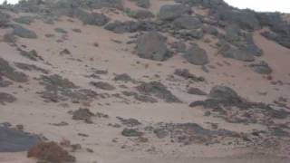 Tinariwen: ARAWAN. Pour toi NomadeC et tous les nomades....