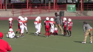 7 Year Old Xavier &quot;X&quot; Spikes 2014 Season Highlights