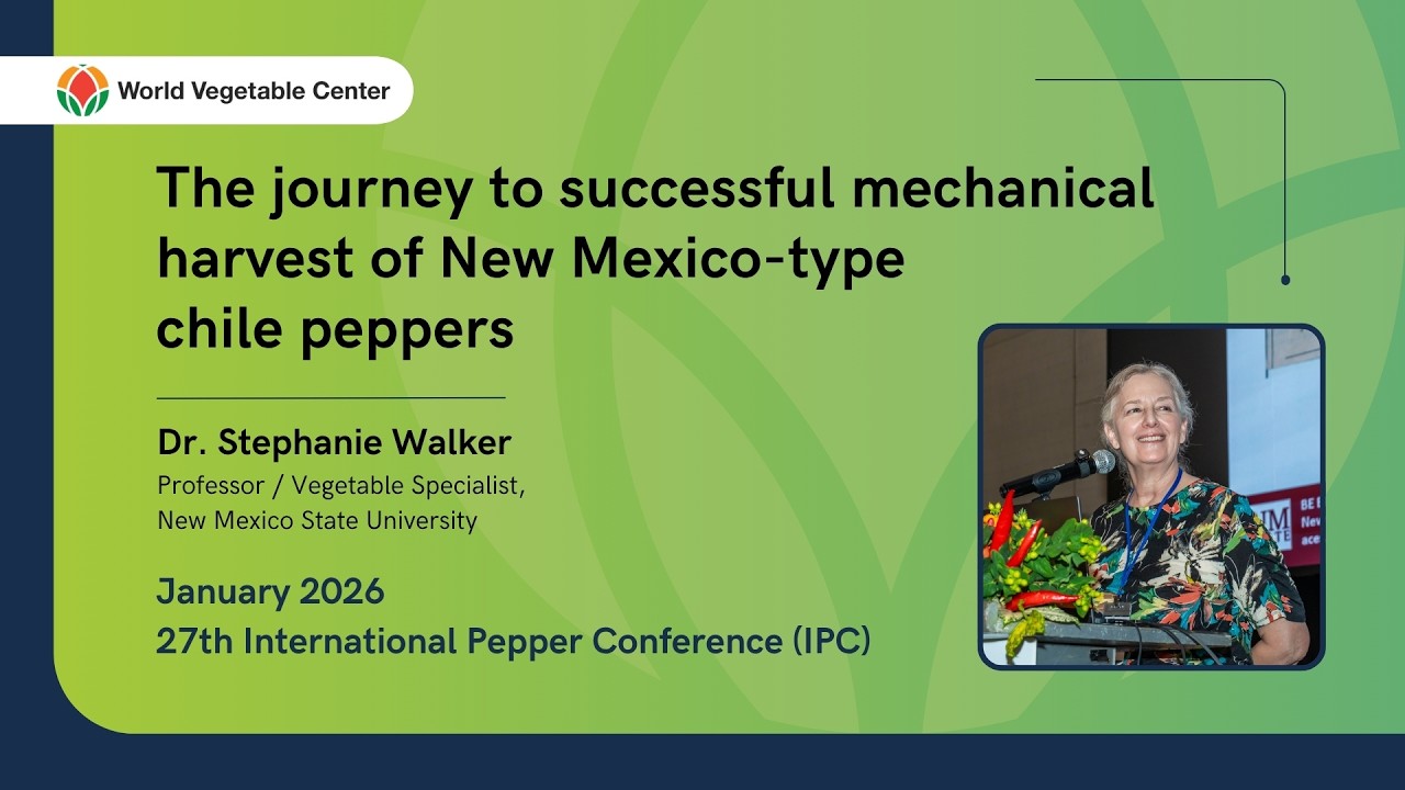 The Journey to successful mechanical harvest of New Mexico-type chili peppers