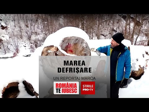 ROMANIA, I LOVE YOU! - THE GREAT DEFORESTATION