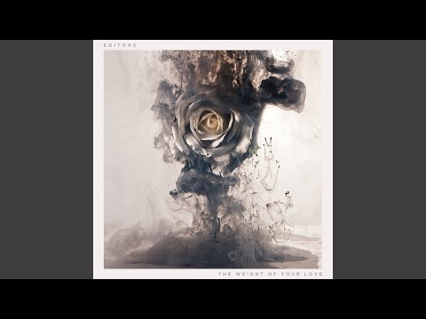 Bird of Prey - Editors