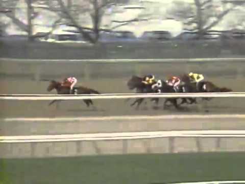 1989 Gotham Stakes   EASY GOER