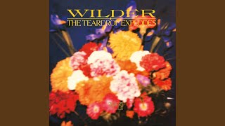 Music video thumbnail preview for Pure Joy by The Teardrop Explodes