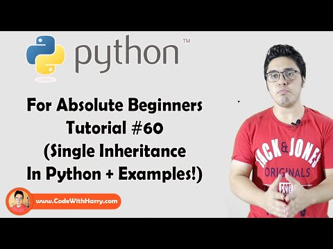 Learn Single Inheritance | Python Tutorials For Absolute Beginners In ...